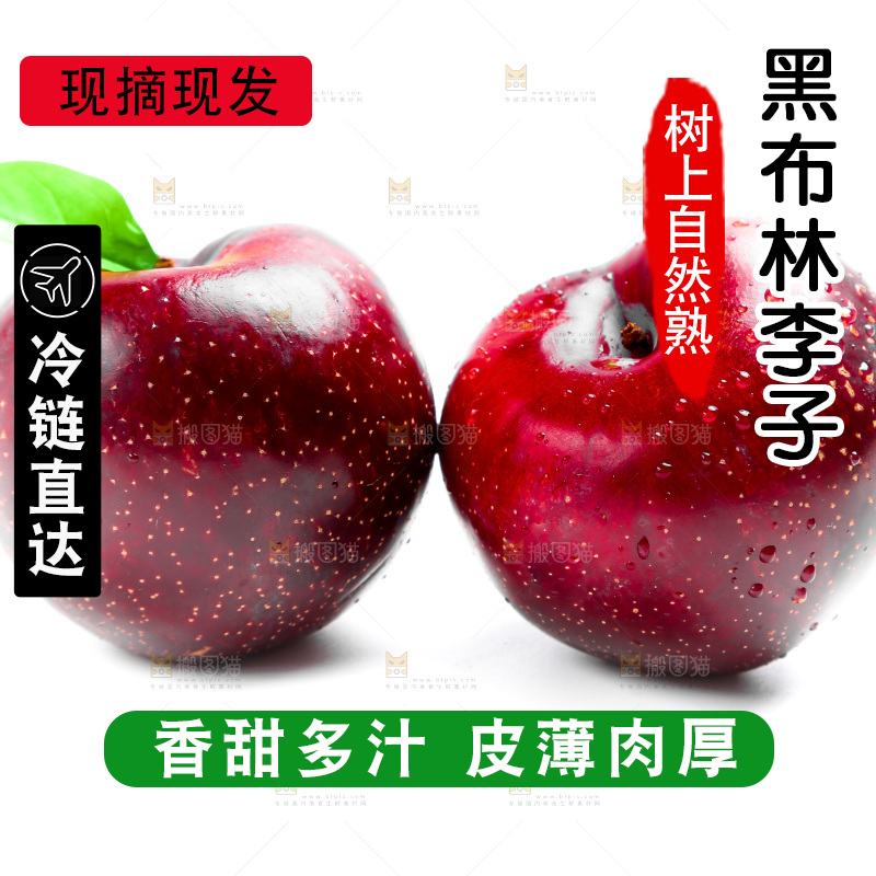 白底上的黑布林