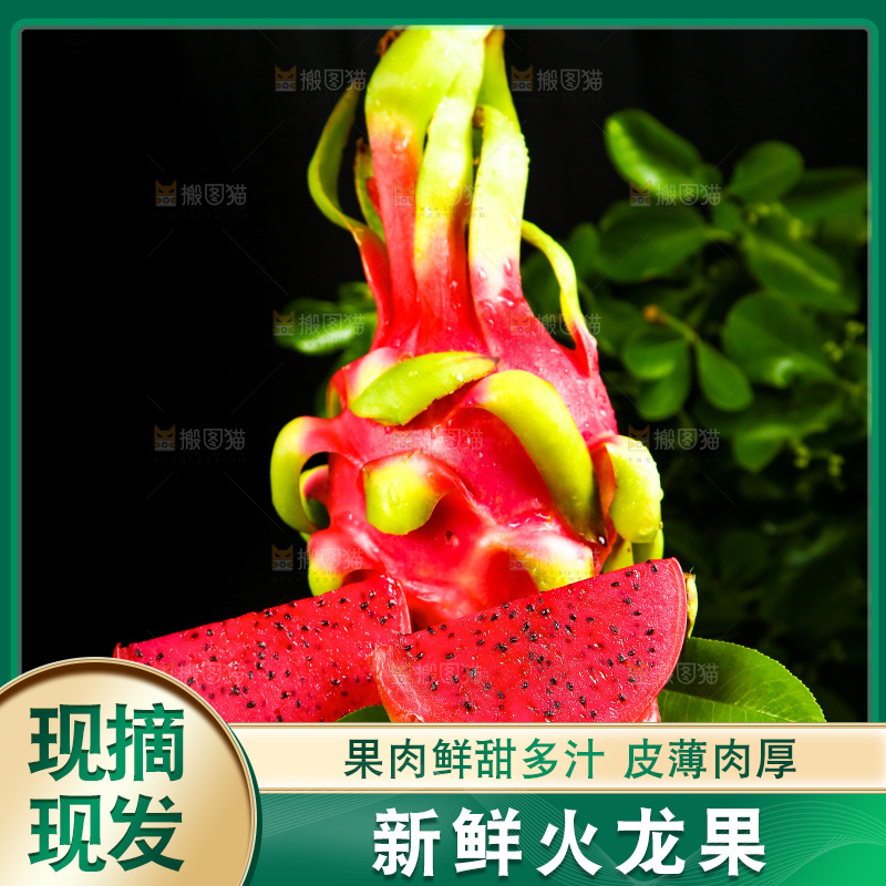 黑底上放着海南红心火龙果