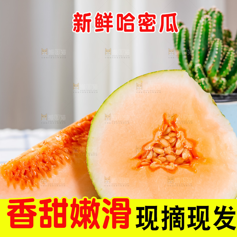 格子布上放着新鲜哈密瓜