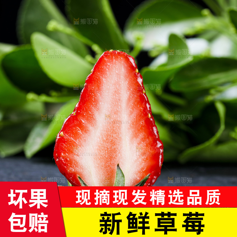 丹东草莓放在深底上