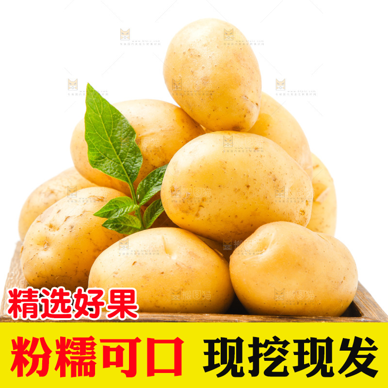 一盘新鲜土豆放在白底上