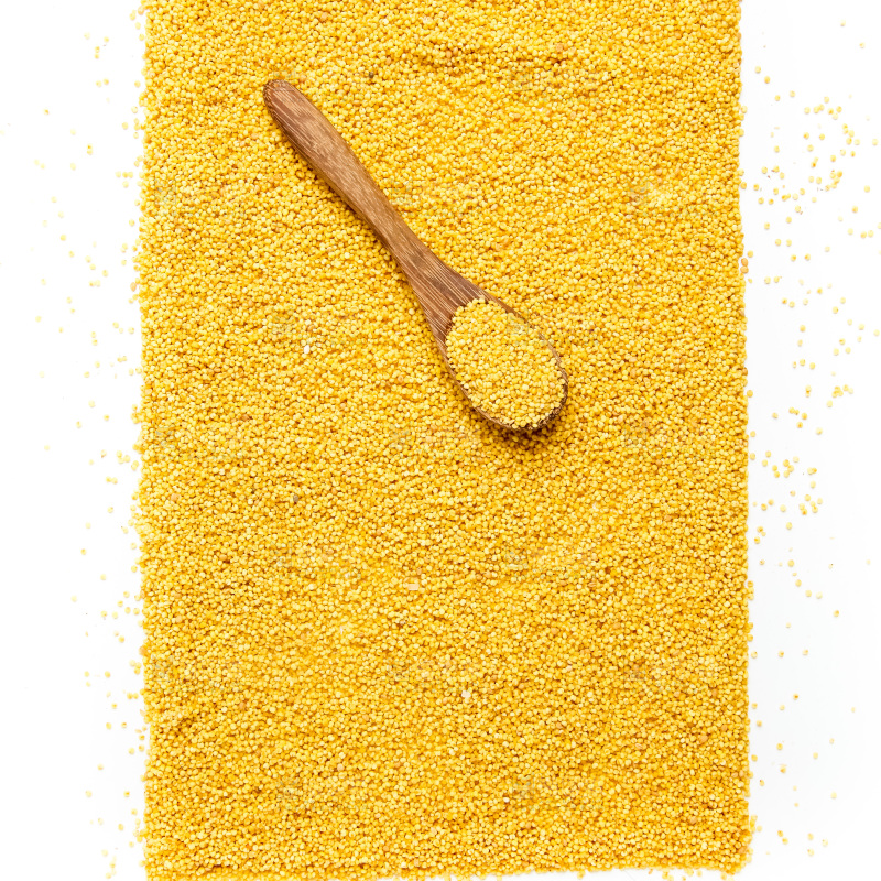 白底上放着新鲜黄小米