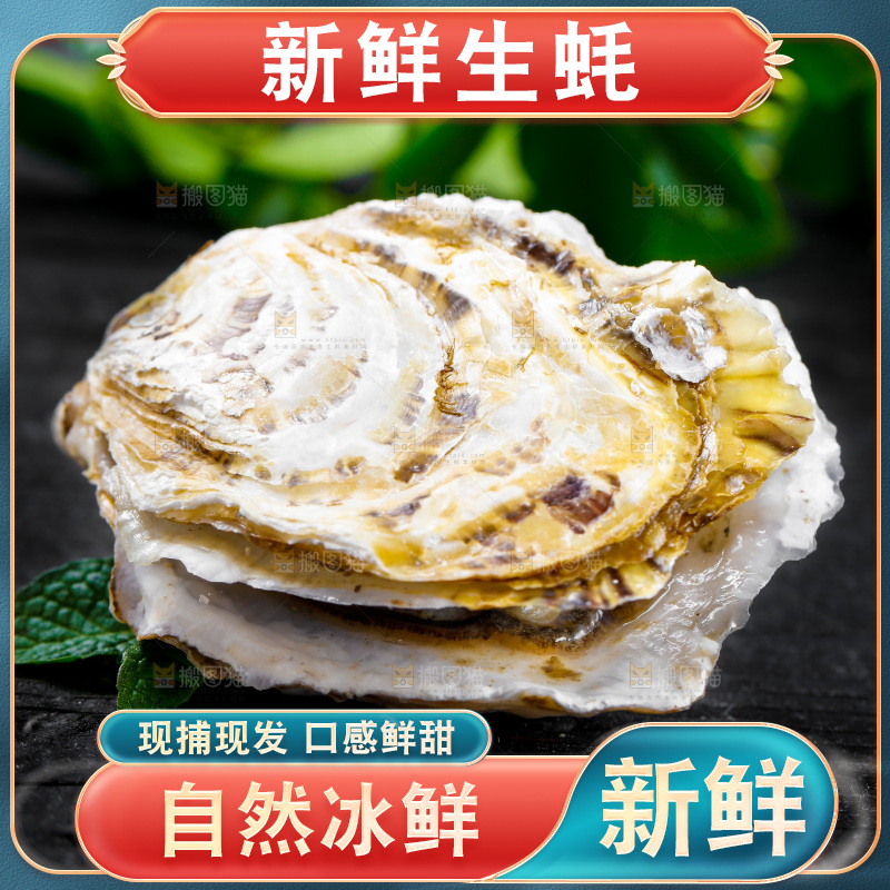 黑底上放着海蛎子