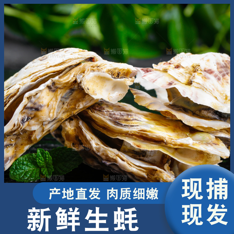 黑底上放着海蛎子