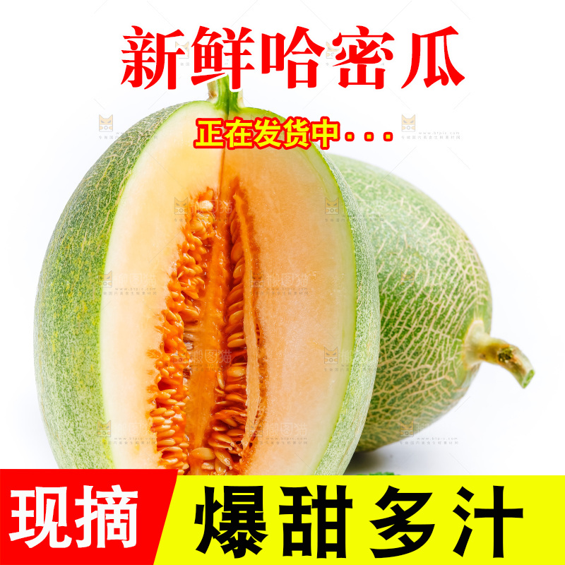 白底上的哈密瓜