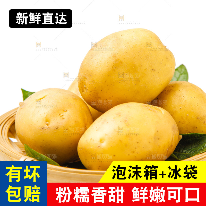 一盘新鲜土豆放在白底上