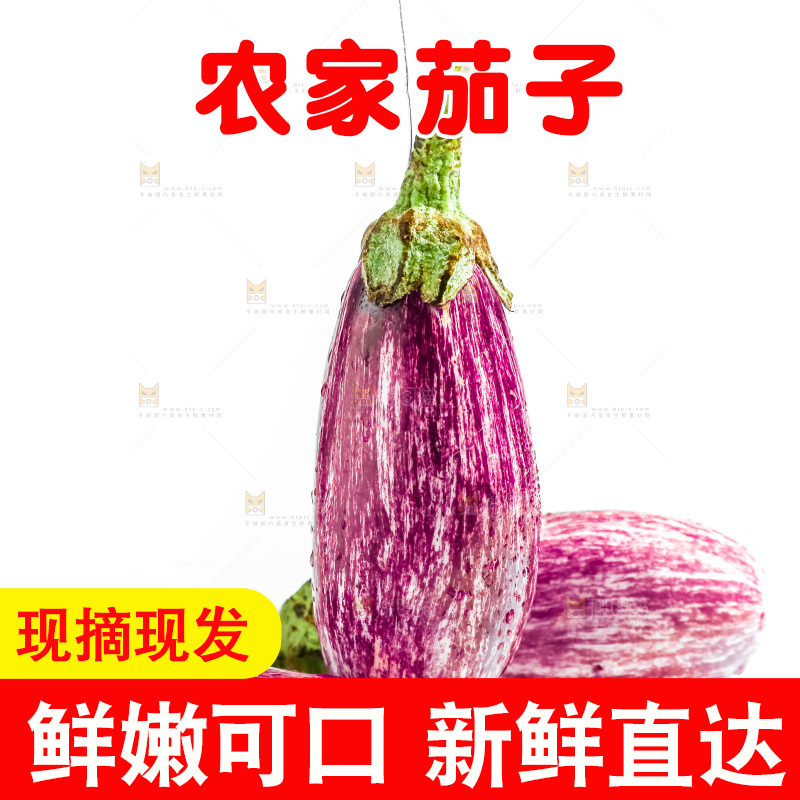 白底上的茄子