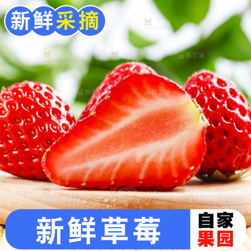 99草莓放在浅底上