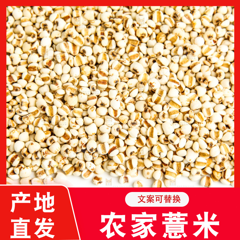 白底上放着薏米仁