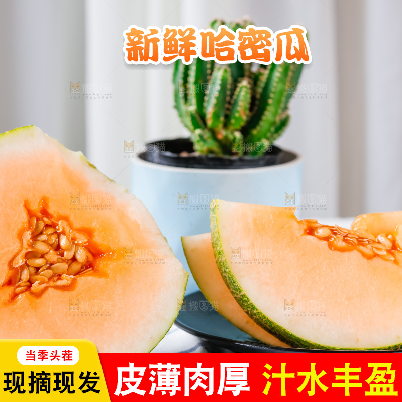 格子布上放着新鲜哈密瓜
