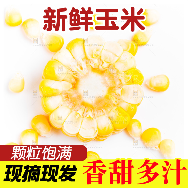 白底上的甜玉米