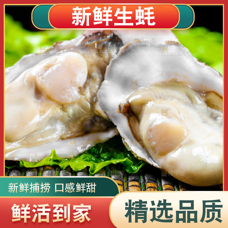 木底上放着生蚝