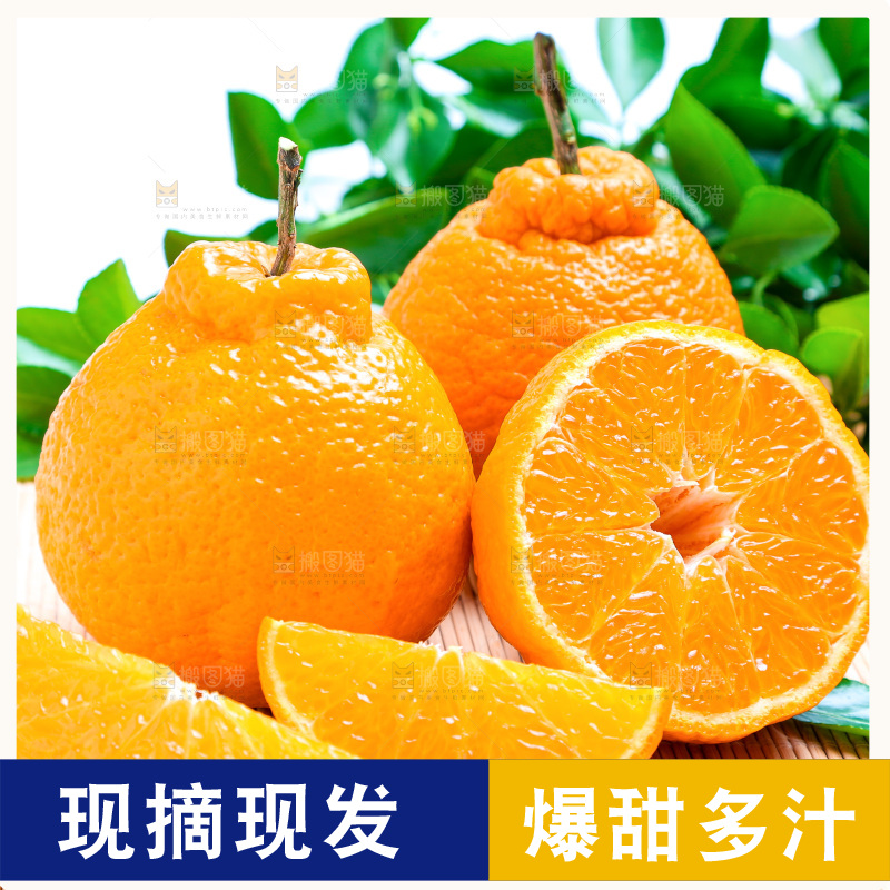 切开的四川丑橘放在浅底上
