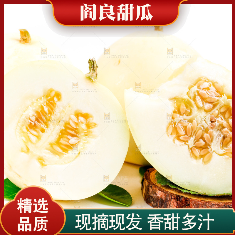 新鲜阎良甜瓜放在白底上
