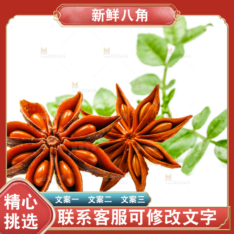 广西八角放在白底上