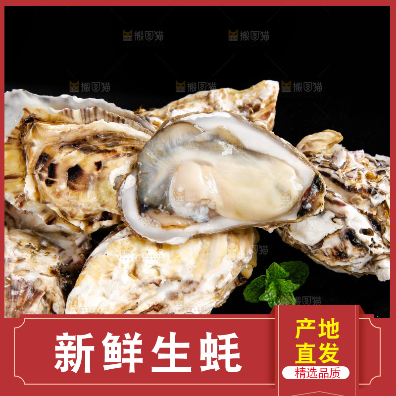 深底上放着牡蛎