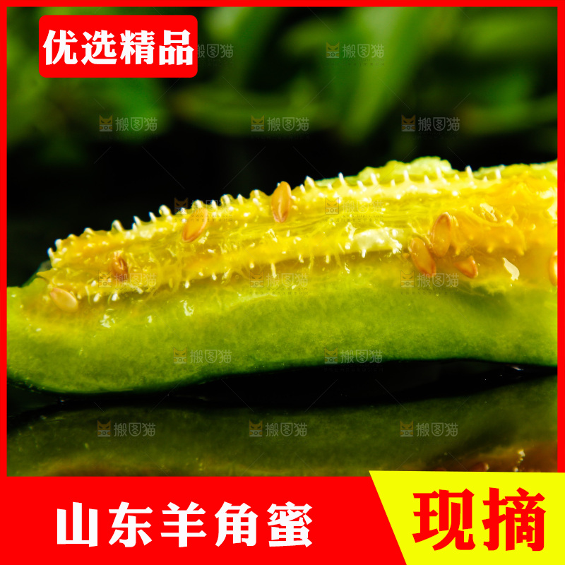 黑底上放着山东羊角蜜甜瓜