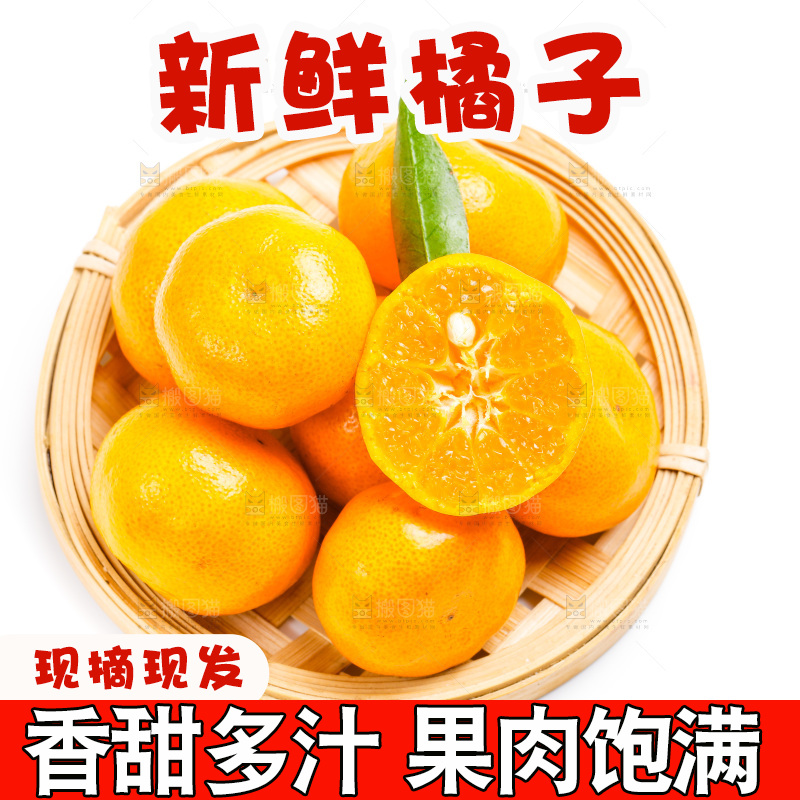 新鲜橘子放在白底上