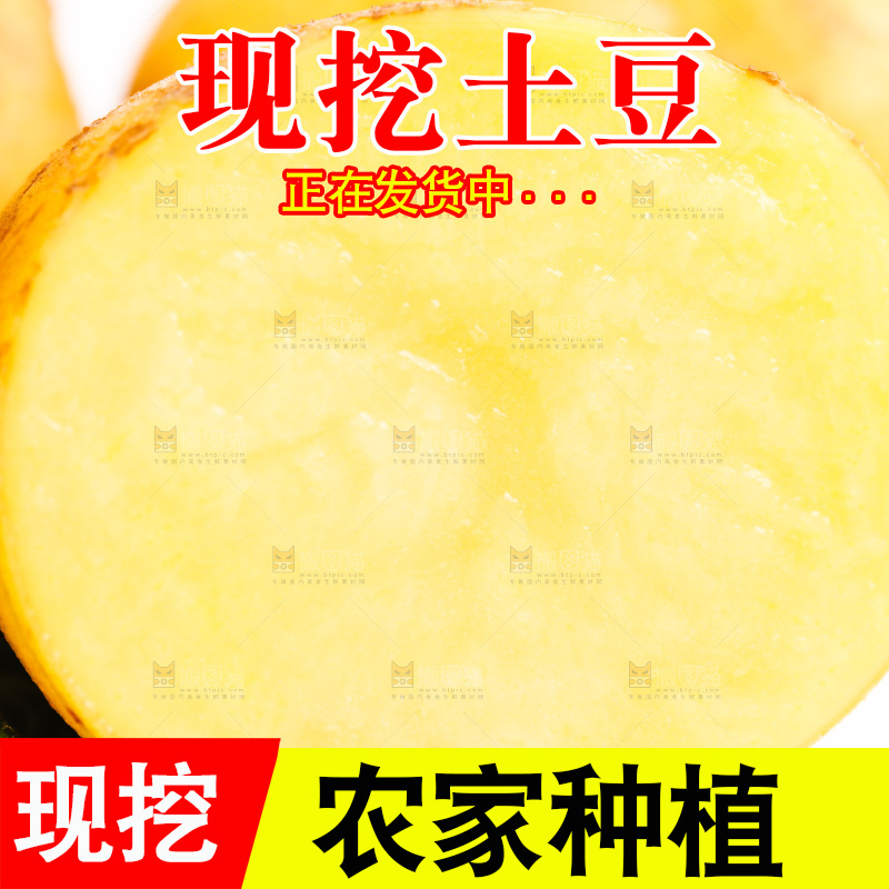 白底上的土豆