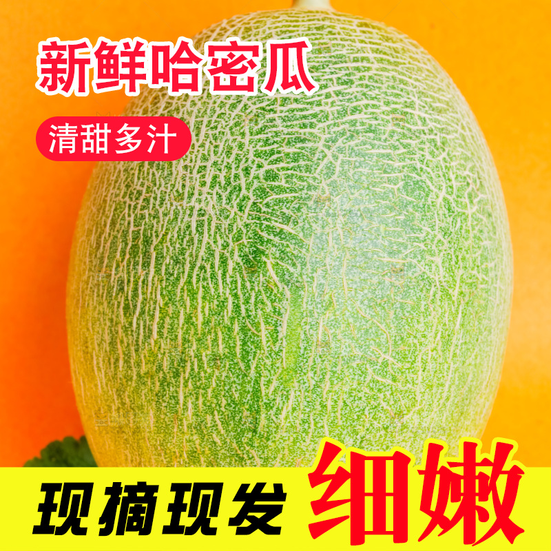 浅底上放着新疆哈密瓜