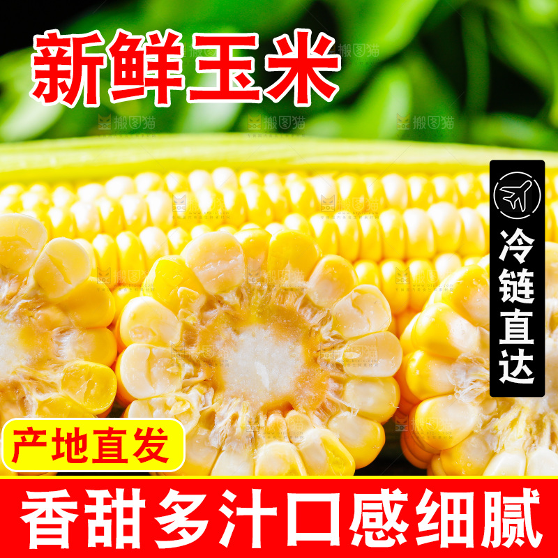 云南水果甜玉米放在木底上