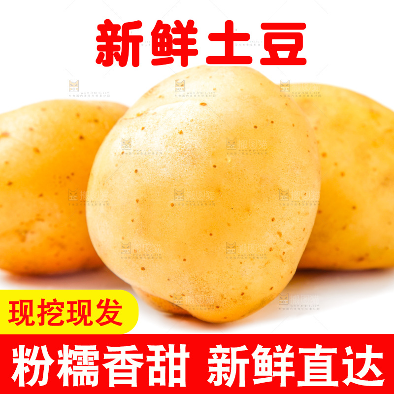 白底上的土豆