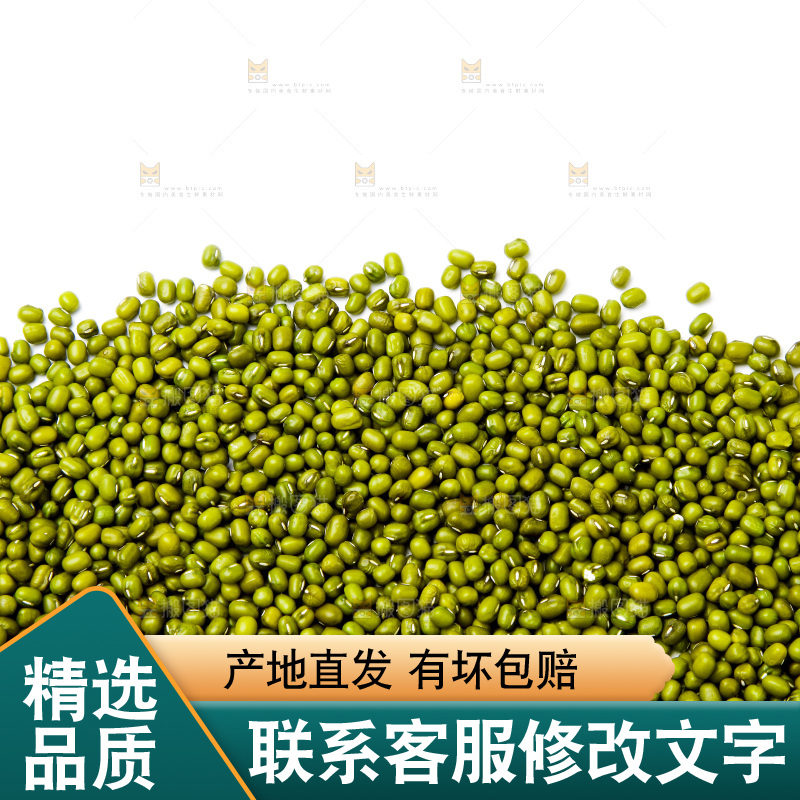 新鲜绿豆放在白底上