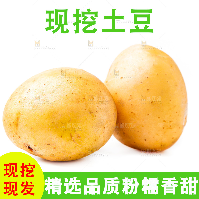 白底上的土豆