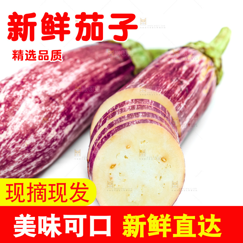 新鲜茄子放在白底上