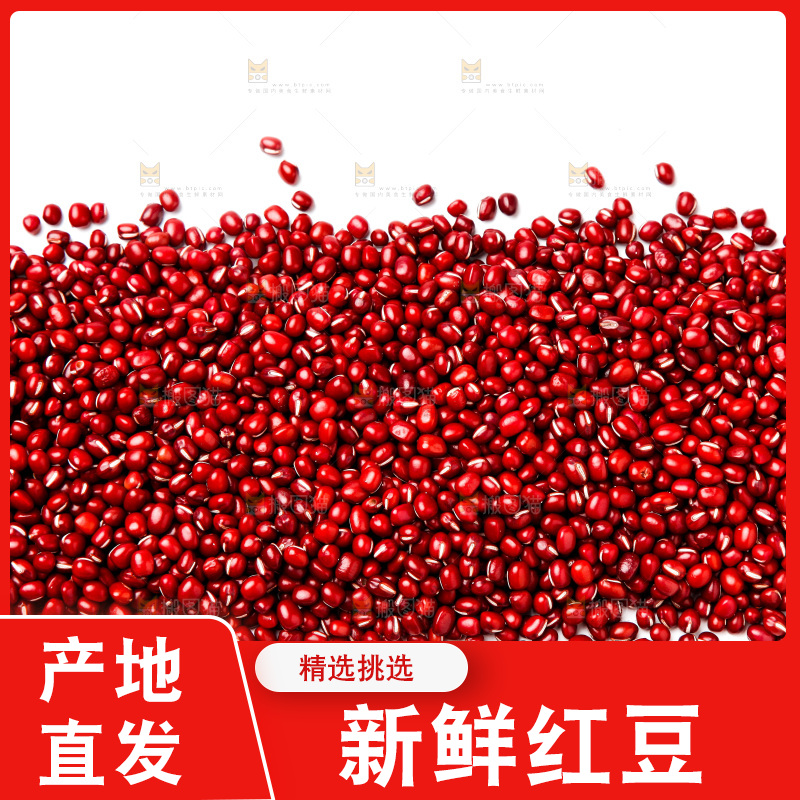 白底上的红豆