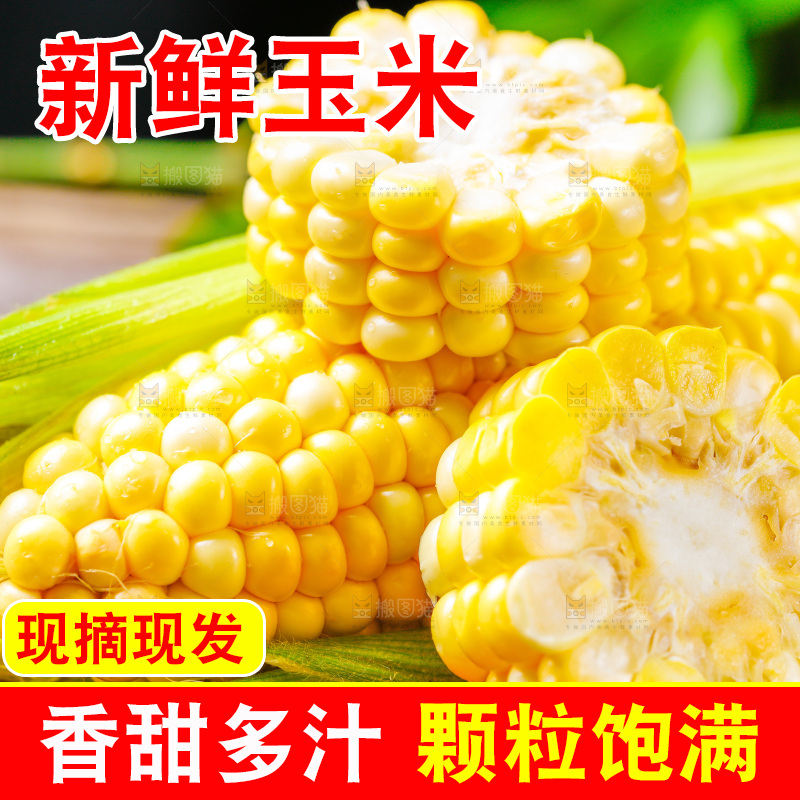 云南水果甜玉米放在木底上