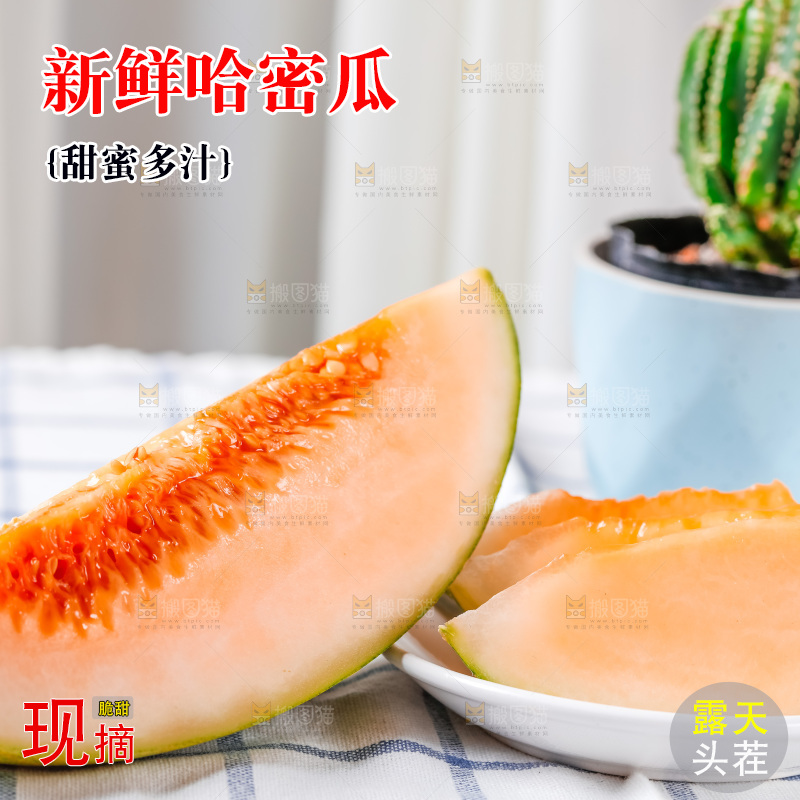 格子布上放着新鲜哈密瓜