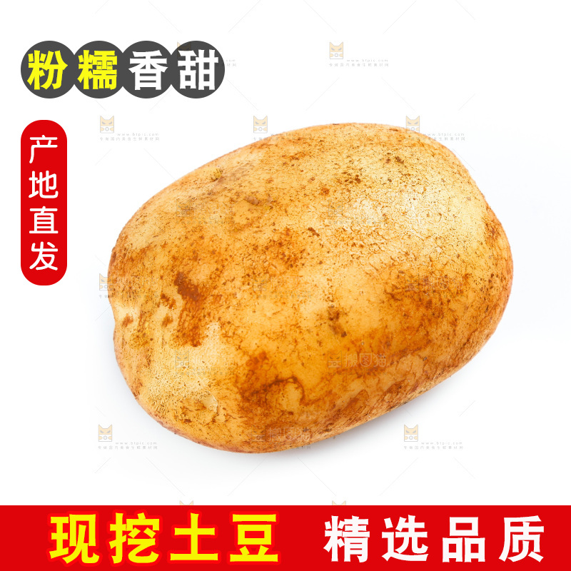 白底上的土豆