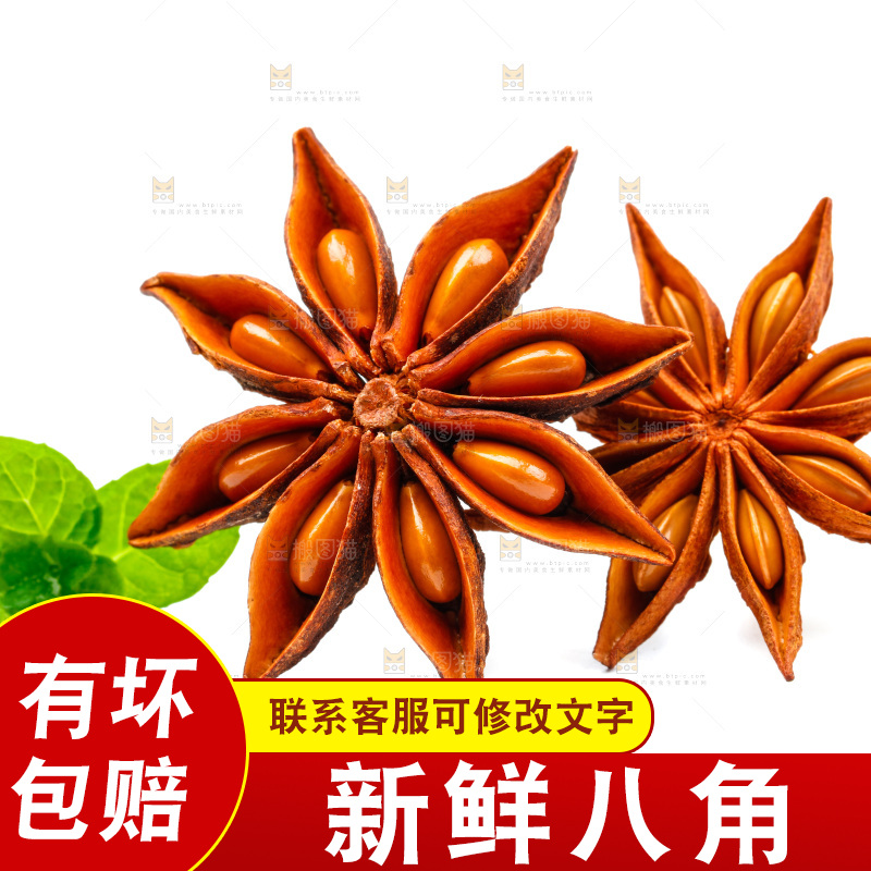 广西八角放在白底上