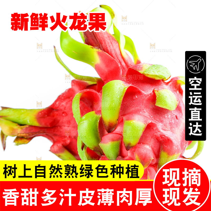 白底上的火龙果