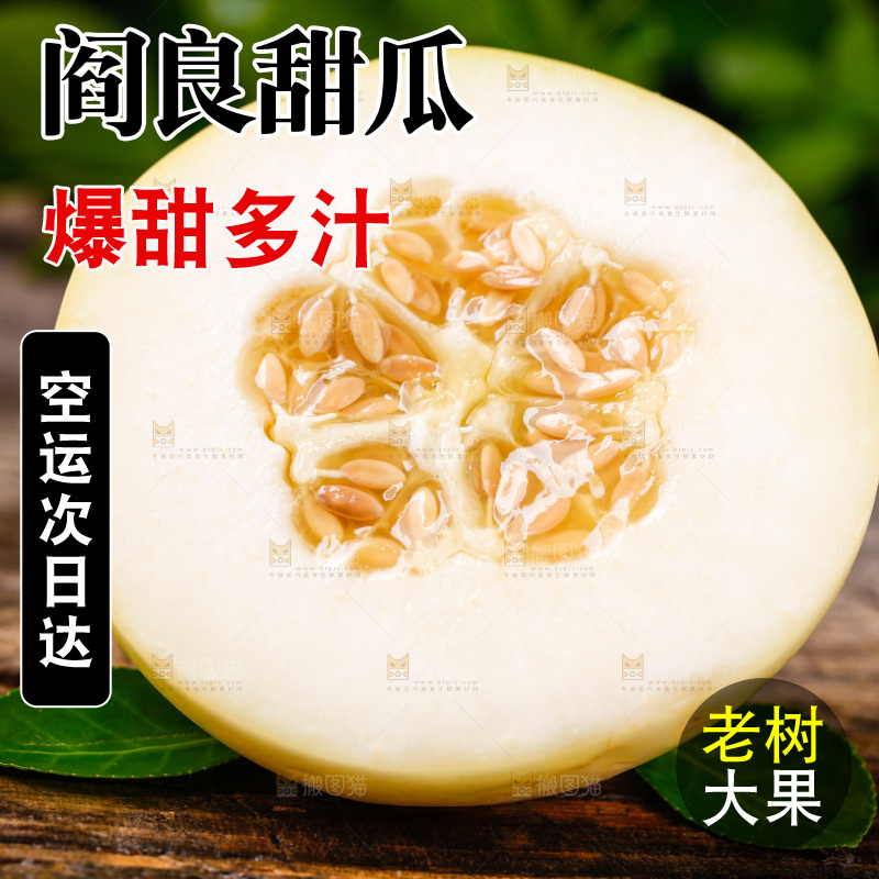 新鲜阎良甜瓜放在木底上