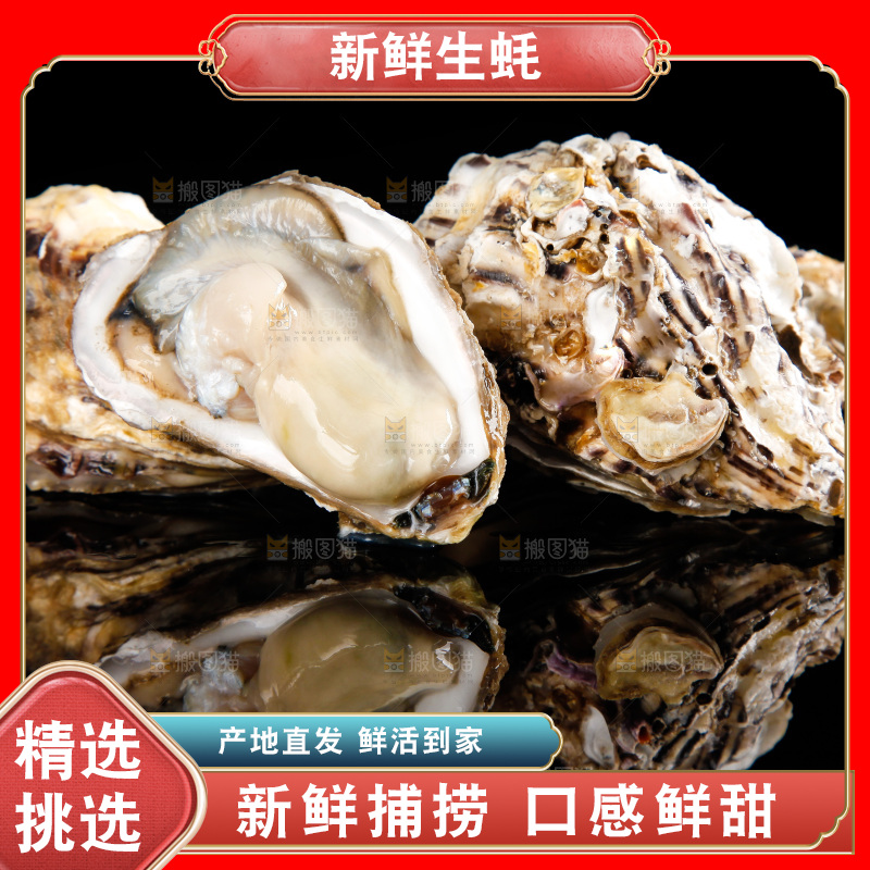 深底上放着牡蛎