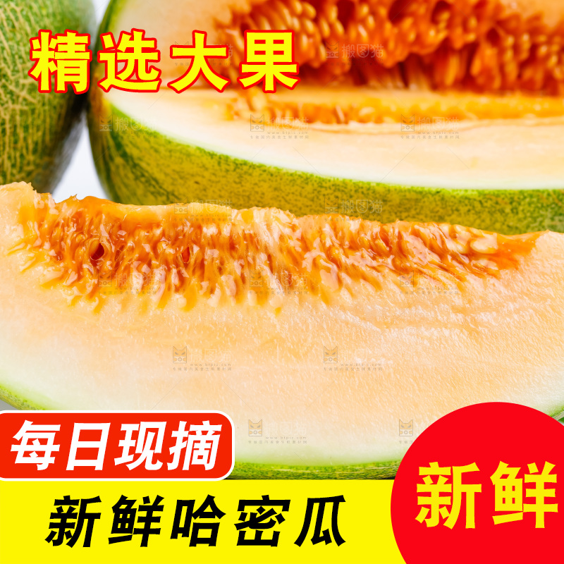 新鲜哈密瓜放在白底上