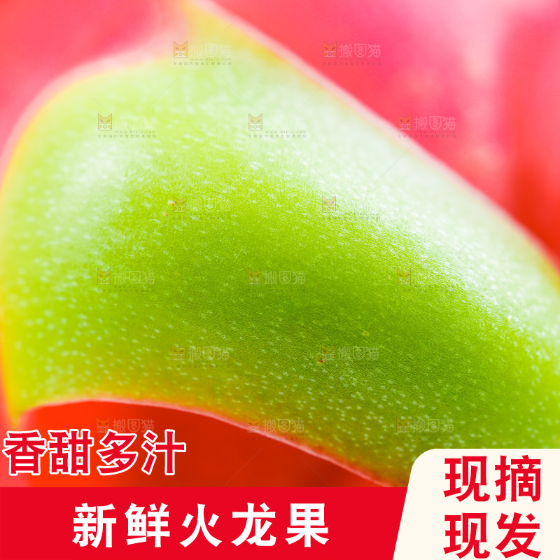 白底上的火龙果