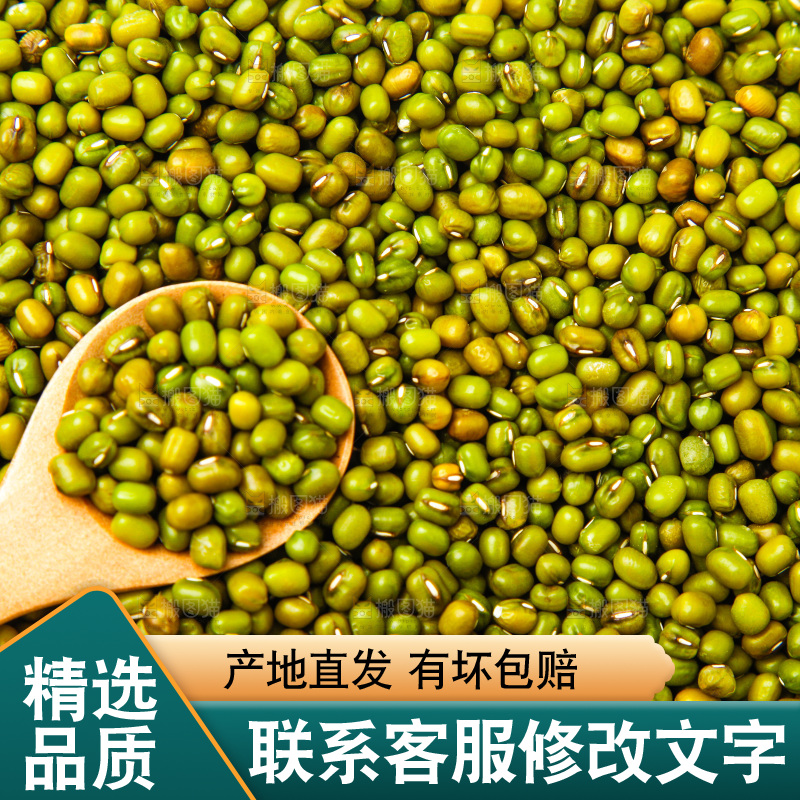 新鲜绿豆放在白底上