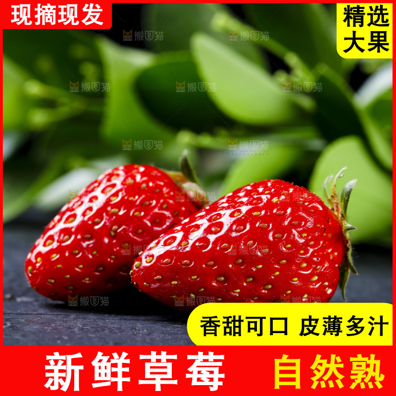 深底上放着99草莓