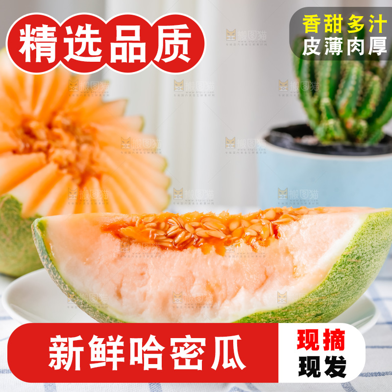 格子布上放着新鲜哈密瓜