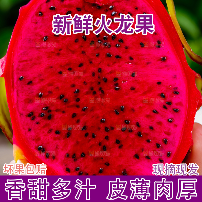 手拿红心火龙果切块