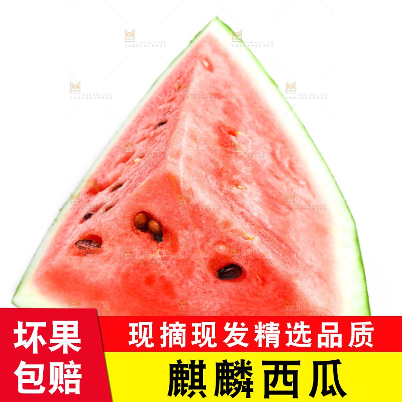 白底上放着8424麒麟瓜