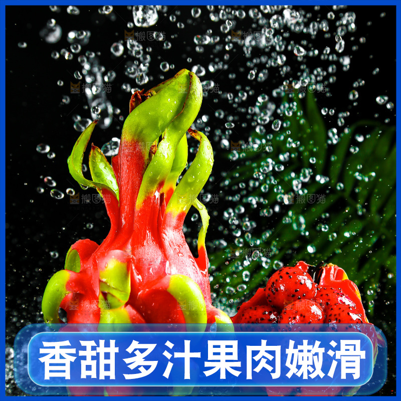 黑底上放着海南红心火龙果