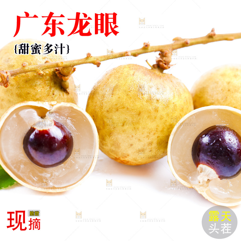 白底上的龙眼