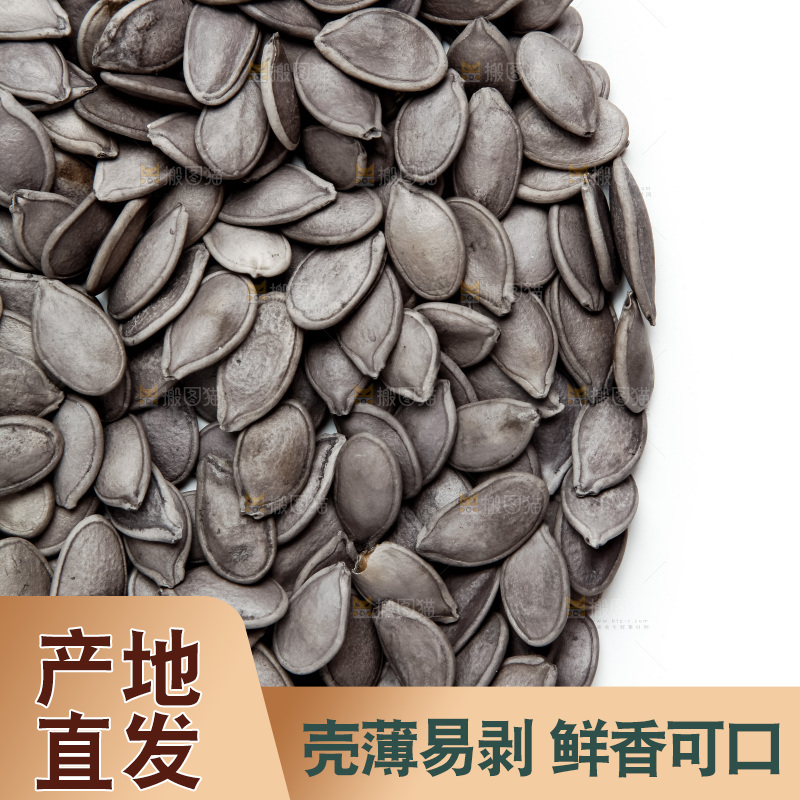 黑南瓜子放在白底上