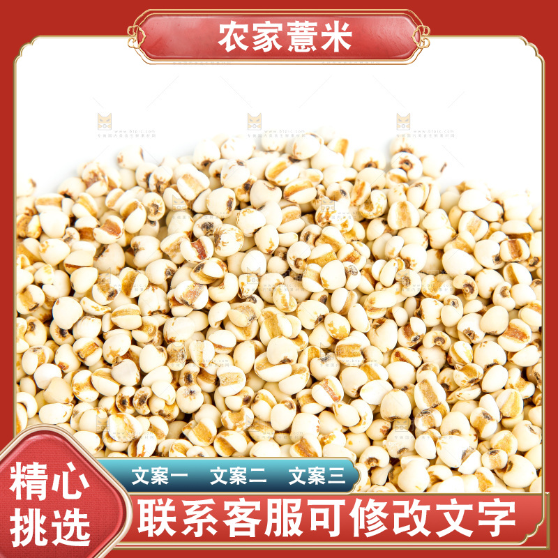 新鲜薏米放在白底上