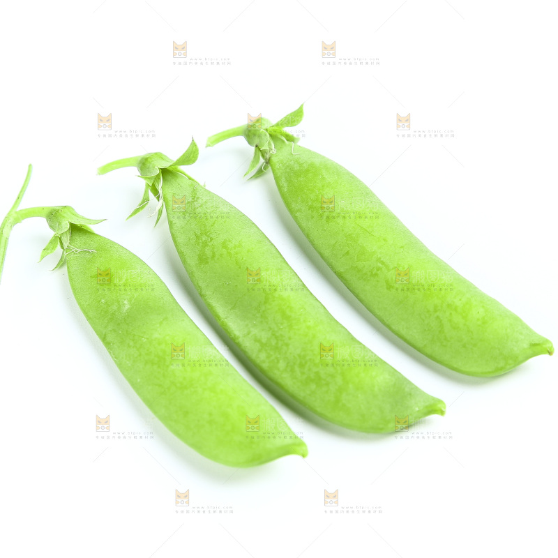 白底上的豌豆荚