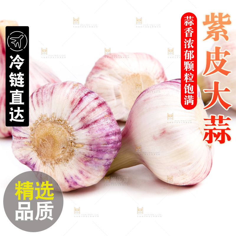 白底上的大蒜